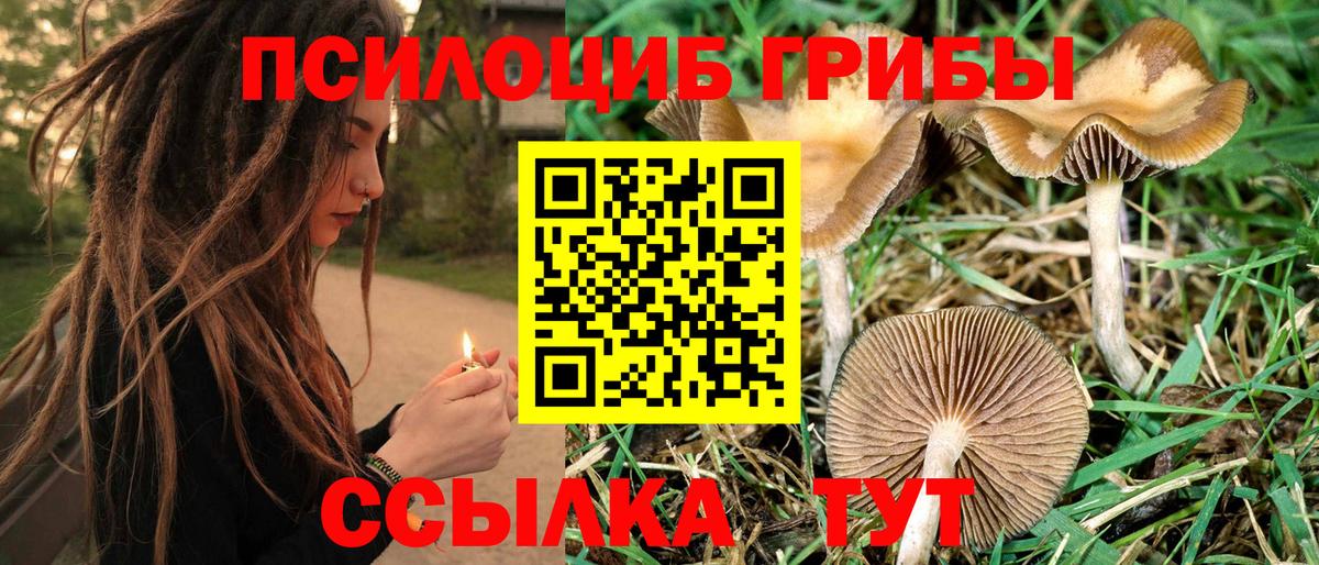 Галлюциногенные грибы прущие грибы Кимовск