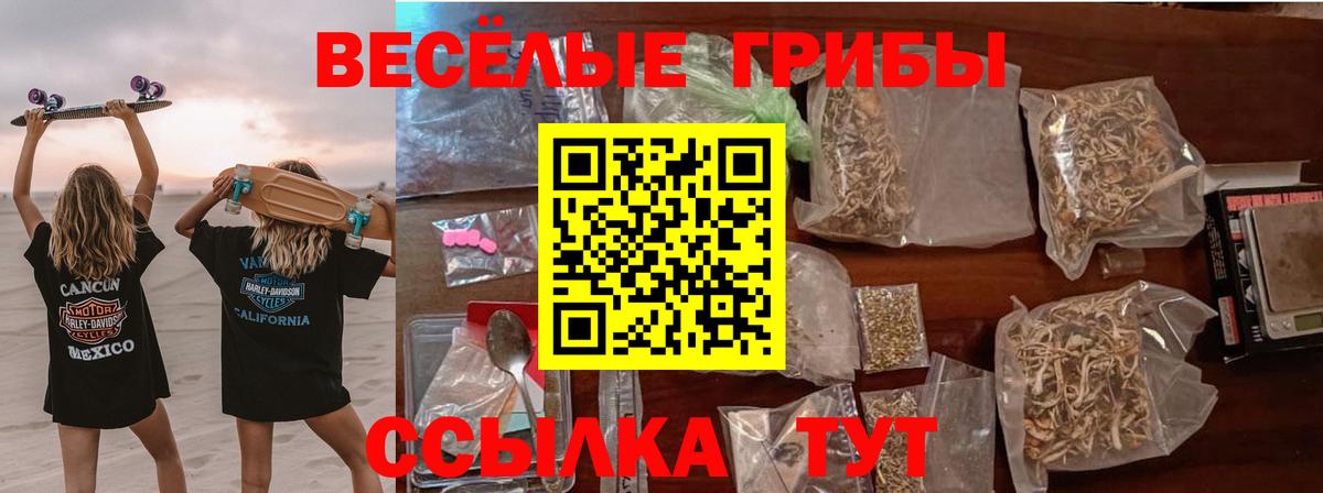 Псилоцибиновые грибы Magic Shrooms  Вход с VPN  Кимовск 