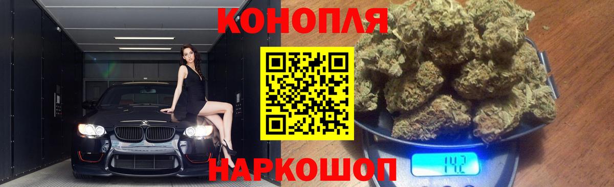 Шишки марихуана гибрид Кимовск